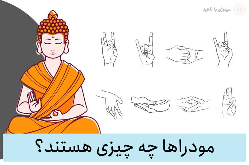 مودراها چه چیزی هستند و چه کاربردی در زندگی دارند؟