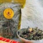 مریم گلی بذر آبی