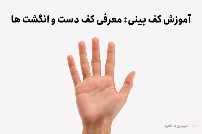 آموزش کف بینی: معرفی کف دست و انگشت ها