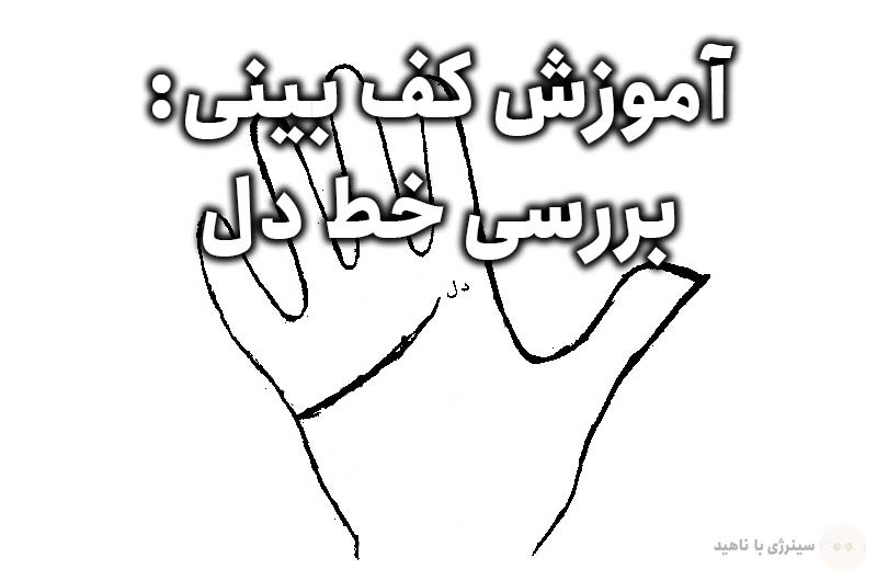 آموزش کف بینی: بررسی خط دل