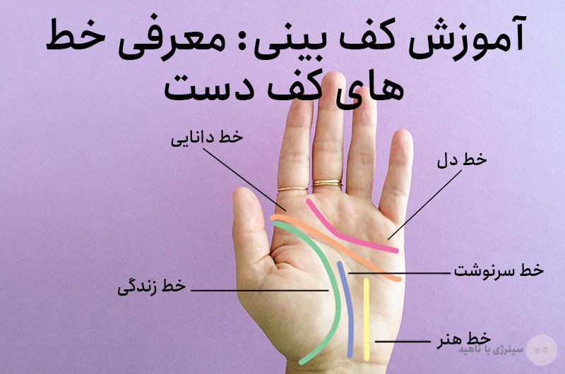 آموزش کف بینی: معرفی خط های کف دست