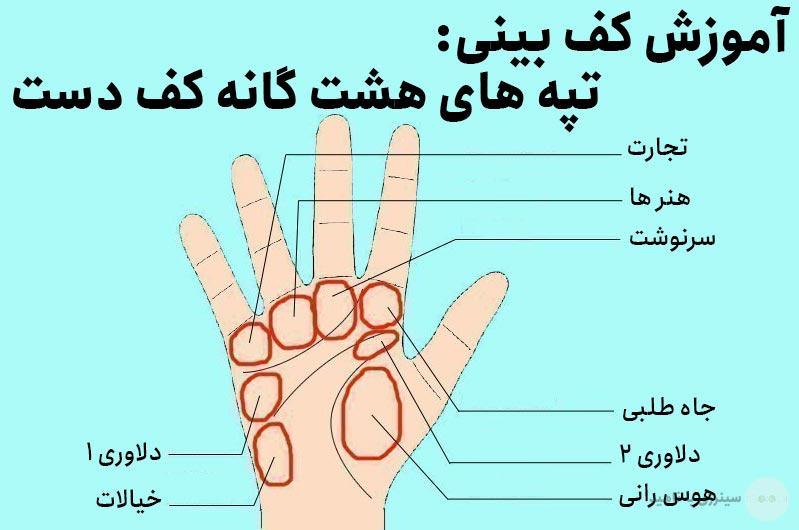 آموزش کف بینی: معرفی تپه های هشت گانه کف دست