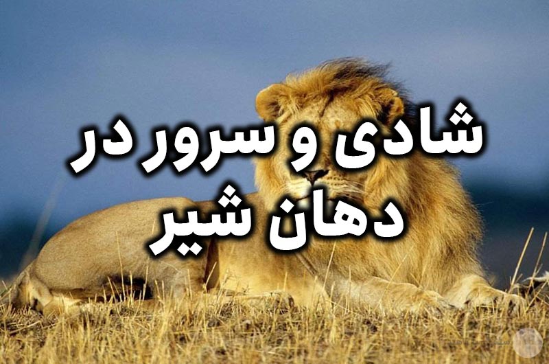 شادی و سرور در دهان شیر
