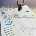 گردنبند حفاظت از چشم زخم (سنگ لاپیس لازولی)