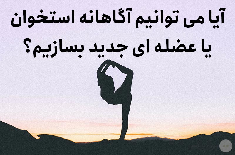 آیا می توانیم آگاهانه استخوان یا عضله ای جدید بسازیم؟