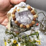 دستبند رودراکشا اصل