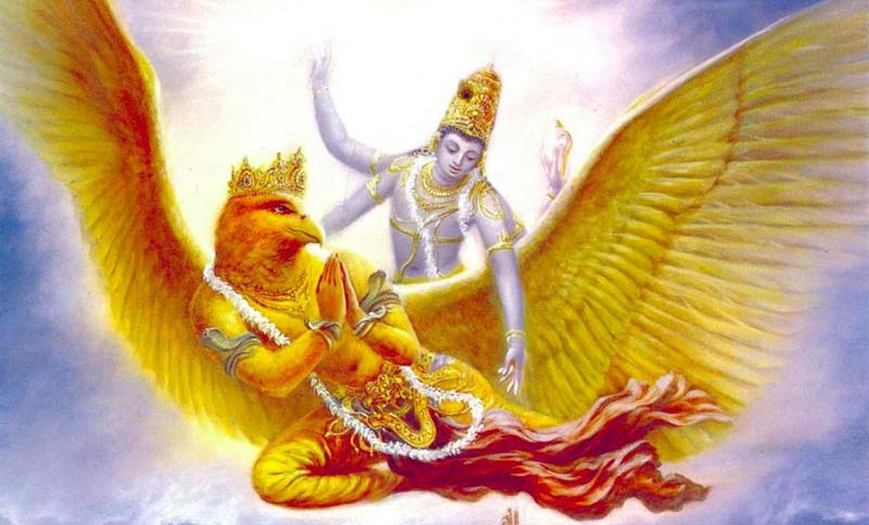 پرنده گارودا (Garuda)
