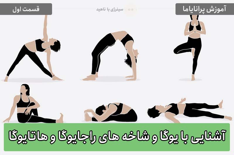 آموزش پرانایاما – قسمت اول: آشنایی با یوگا و شاخه های راجایوگا و هاتایوگا