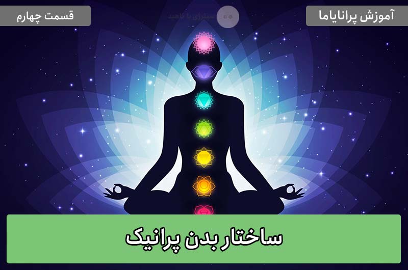 آموزش پرانایاما – قسمت چهارم: ساختار بدن پرانیک