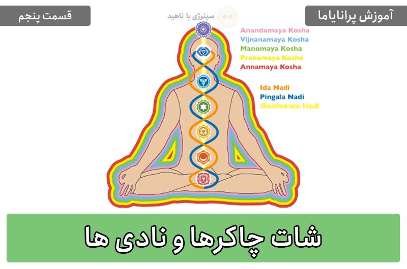 آموزش پرانایاما – قسمت پنجم: شات چاکرها و نادی ها