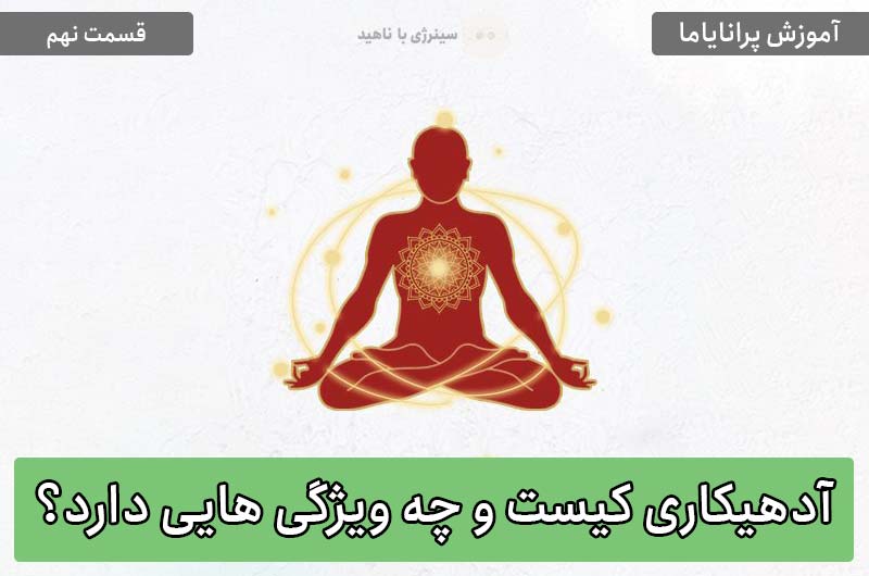 آموزش پرانایاما – قسمت نهم: آدهیکاری کیست؟ و چه ویژگی هایی دارد؟