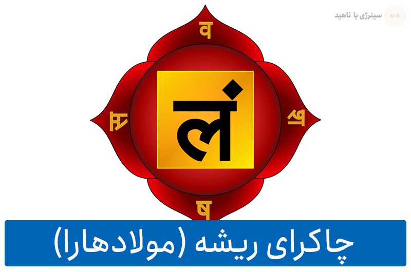 0 تا 100 چاکرای ریشه یا مولادهارا (Muladhara) و عملکرد آن