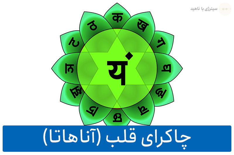 0 تا 100 چاکرای قلب یا آناهاتا (Anahata) و عملکرد آن